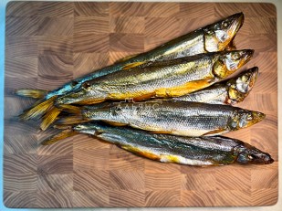 Шашлычок из кальмара х/к: Корюшка Х/К ГОСТ (крупная)